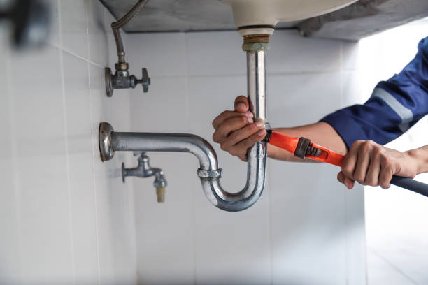 Best Plumbing Inspection Services  in Panama City Beach, FL
