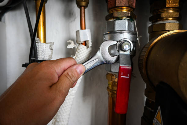 Best Clogged Drain Plumber  in Panama City Beach, FL